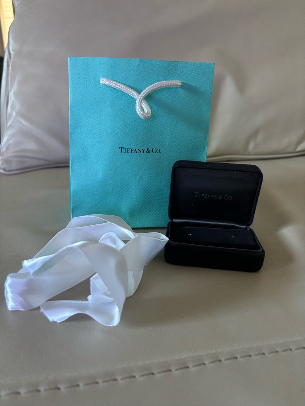 Blue Tiffany Bag and Black Velvet Earring Case